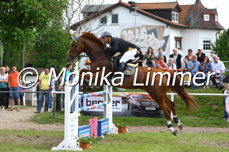 005M6930_Just For You_M Springen x.JPG